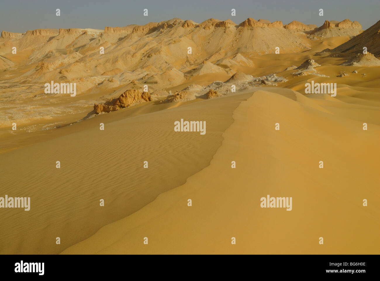 In alto di un giallo duna di sabbia nel deserto occidentale di Egitto Foto Stock