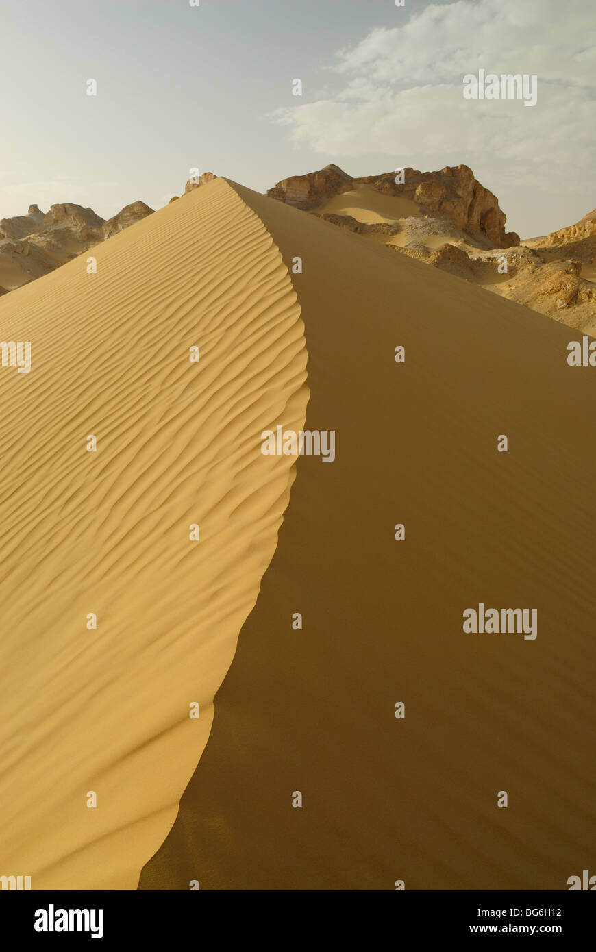 In alto di un giallo duna di sabbia nel deserto occidentale di Egitto Foto Stock
