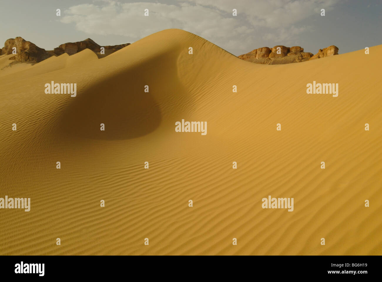 In alto di un giallo duna di sabbia nel deserto occidentale di Egitto Foto Stock