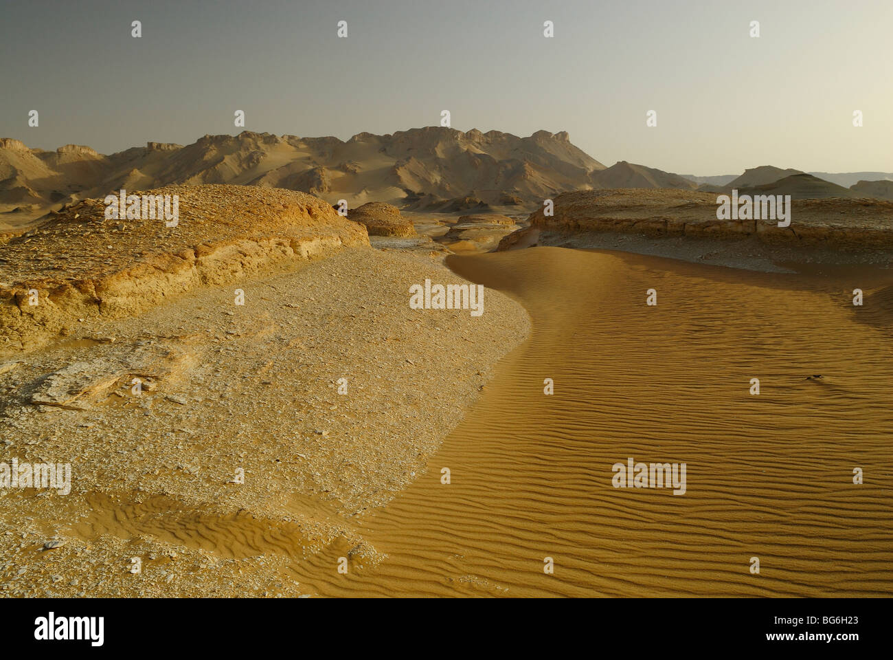 Dune di sabbia e ciottoli nel deserto occidentale di Egitto Foto Stock