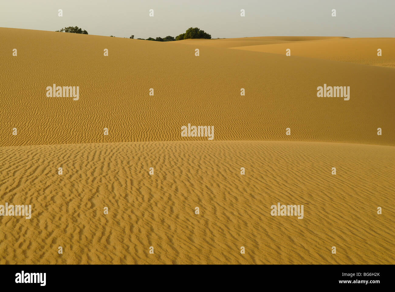 Dune di sabbia nel deserto occidentale di Egitto Foto Stock