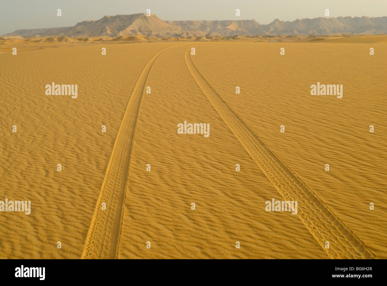 Pneumatici per auto le tracce sulla sabbia nel deserto occidentale di Egitto Foto Stock