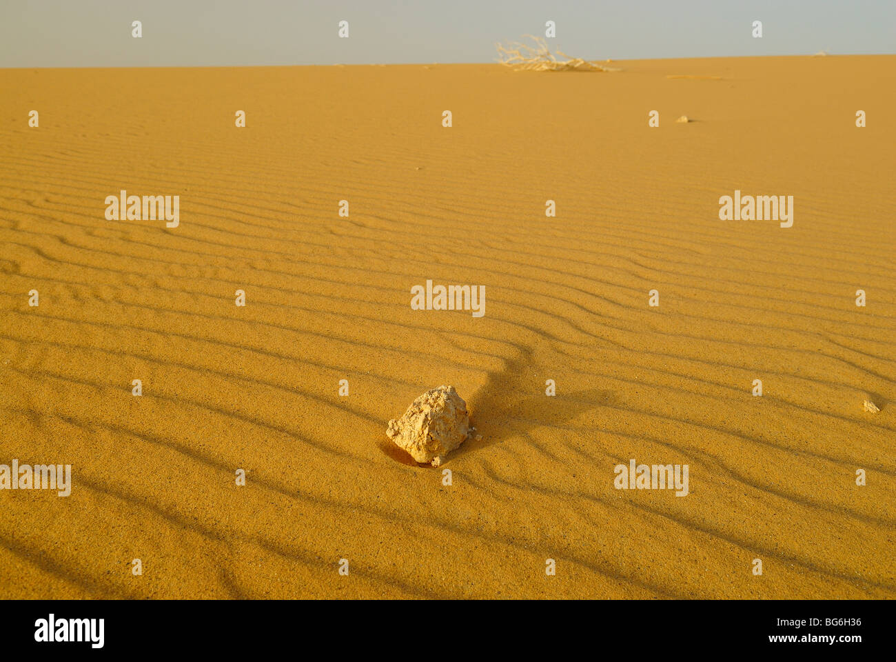 Pebble sulla sabbia nel deserto occidentale di Egitto Foto Stock