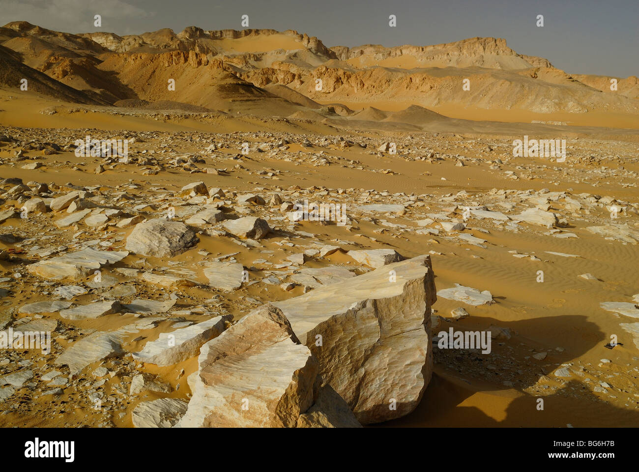 Colline di sabbia e rocce calcaree nel deserto occidentale di Egitto Foto Stock