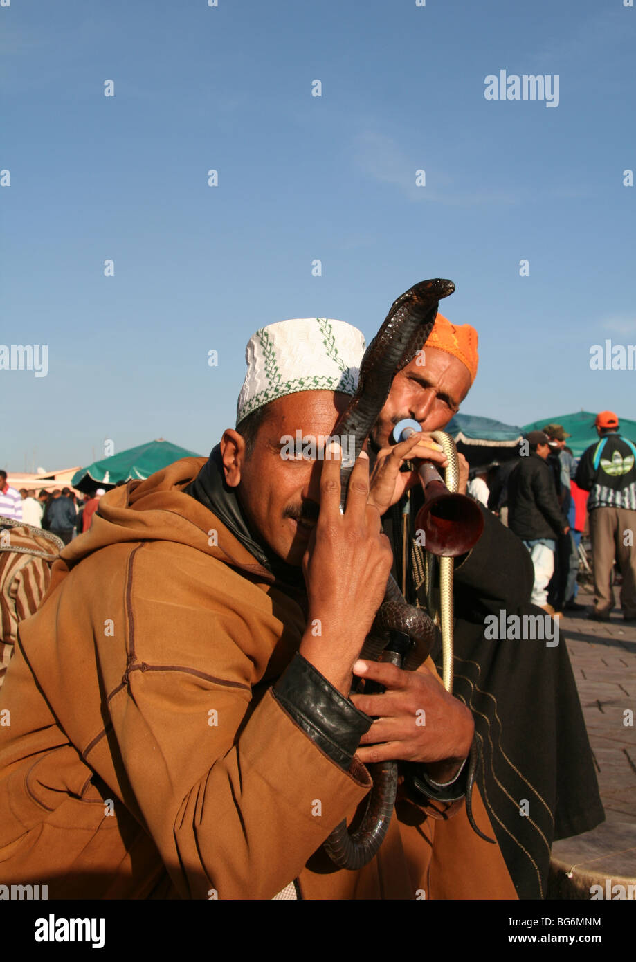 Jemaa el Fna incantatore di serpente Foto Stock