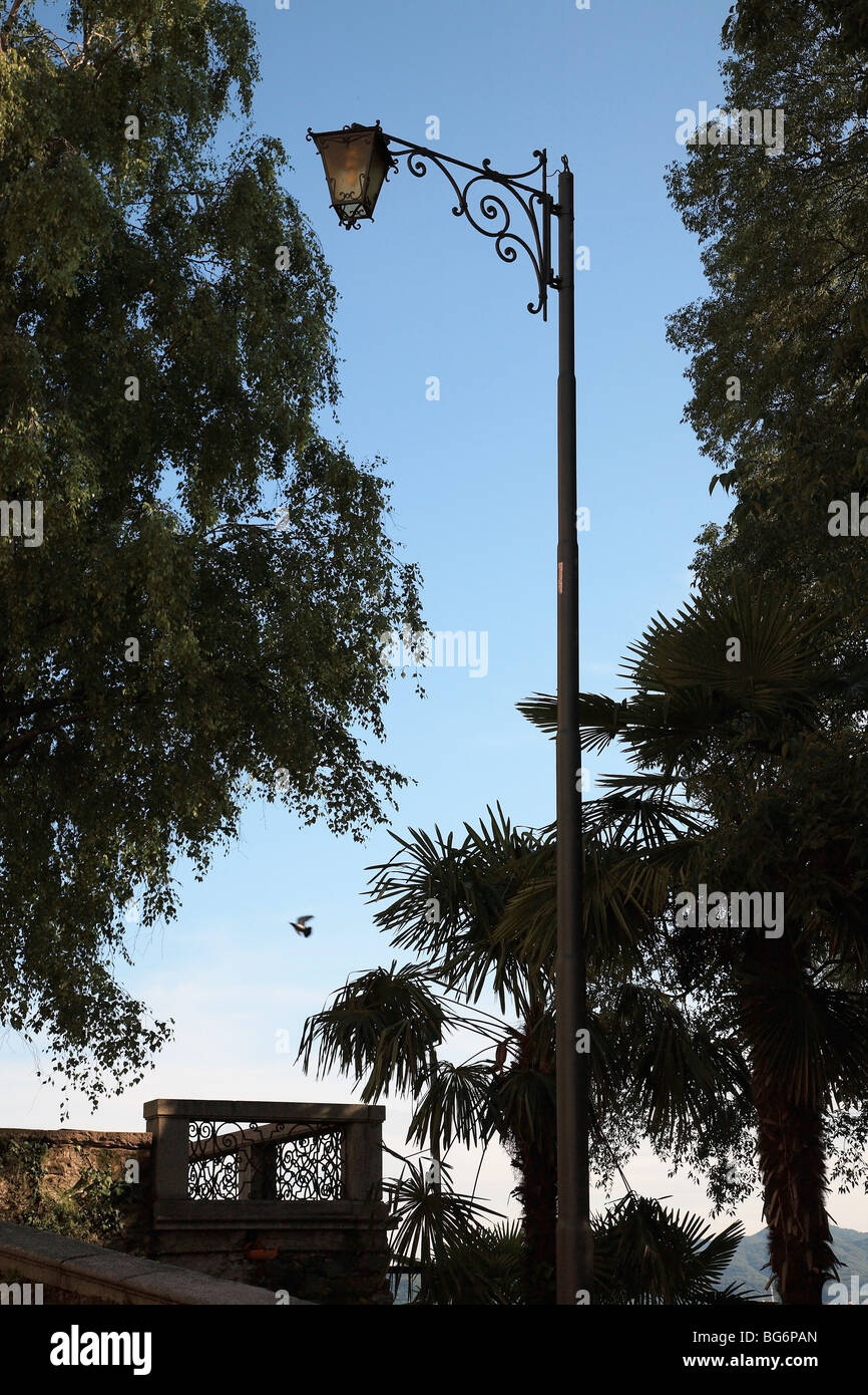 Il canto di un uccello in volo di un uccello sul parafango, prese il Sacro Monte Parco nei pressi del borgo di Orta Foto Stock