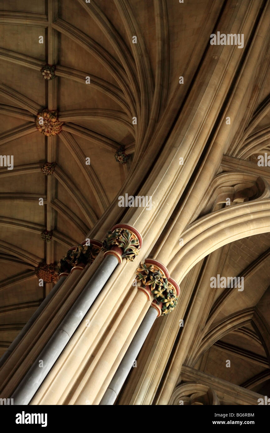 Cattedrale di Bristol vaulting, Inghilterra Foto Stock