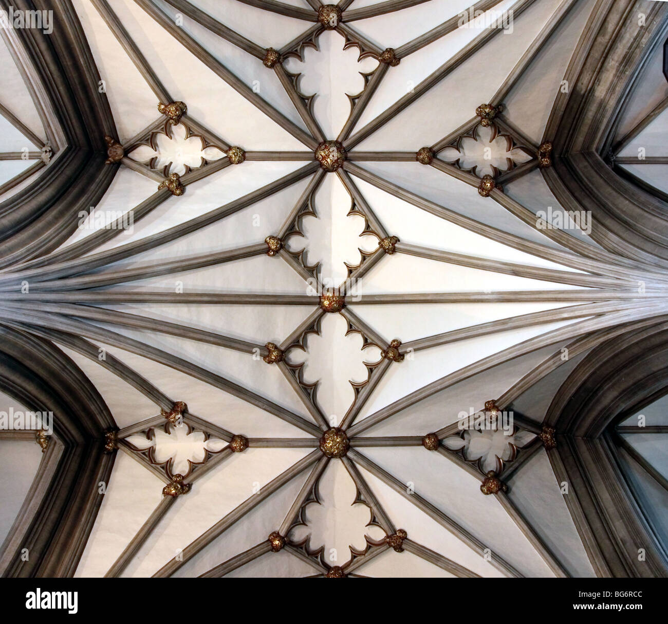 Cattedrale di Bristol vaulting, Inghilterra Foto Stock