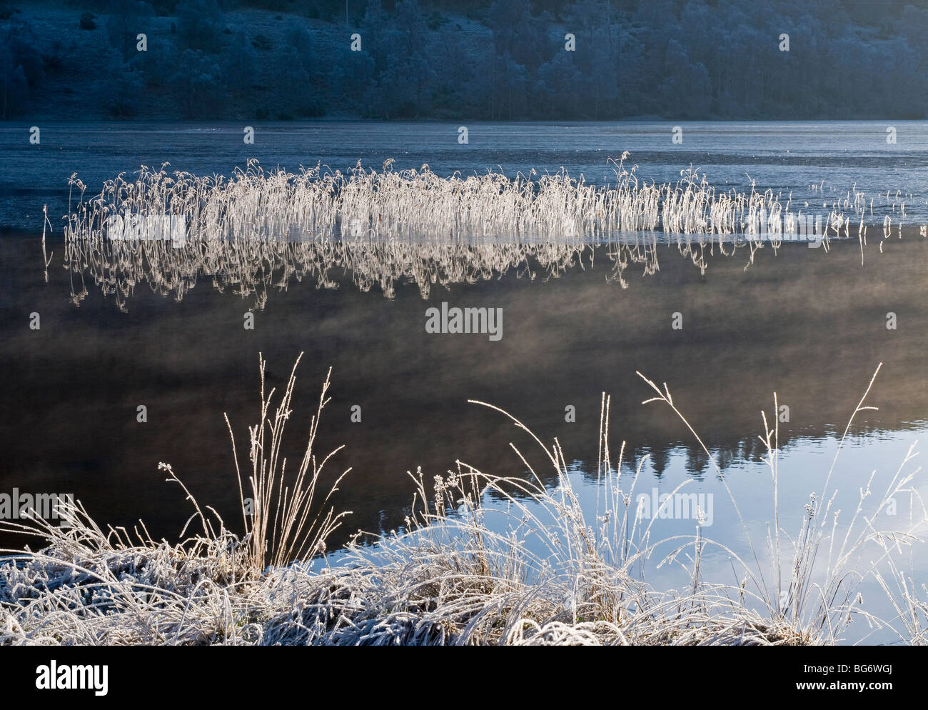 Inverno gelate mattutine sul Loch Pityoulish Aviemore Strathspey Inverness-shire, regione delle Highlands Scozzesi. SCO 5619 Foto Stock