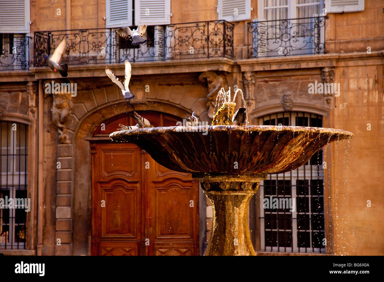 Piccioni giocando nella fontana di Place d'Albertas in Aix-en-Provence Francia Foto Stock