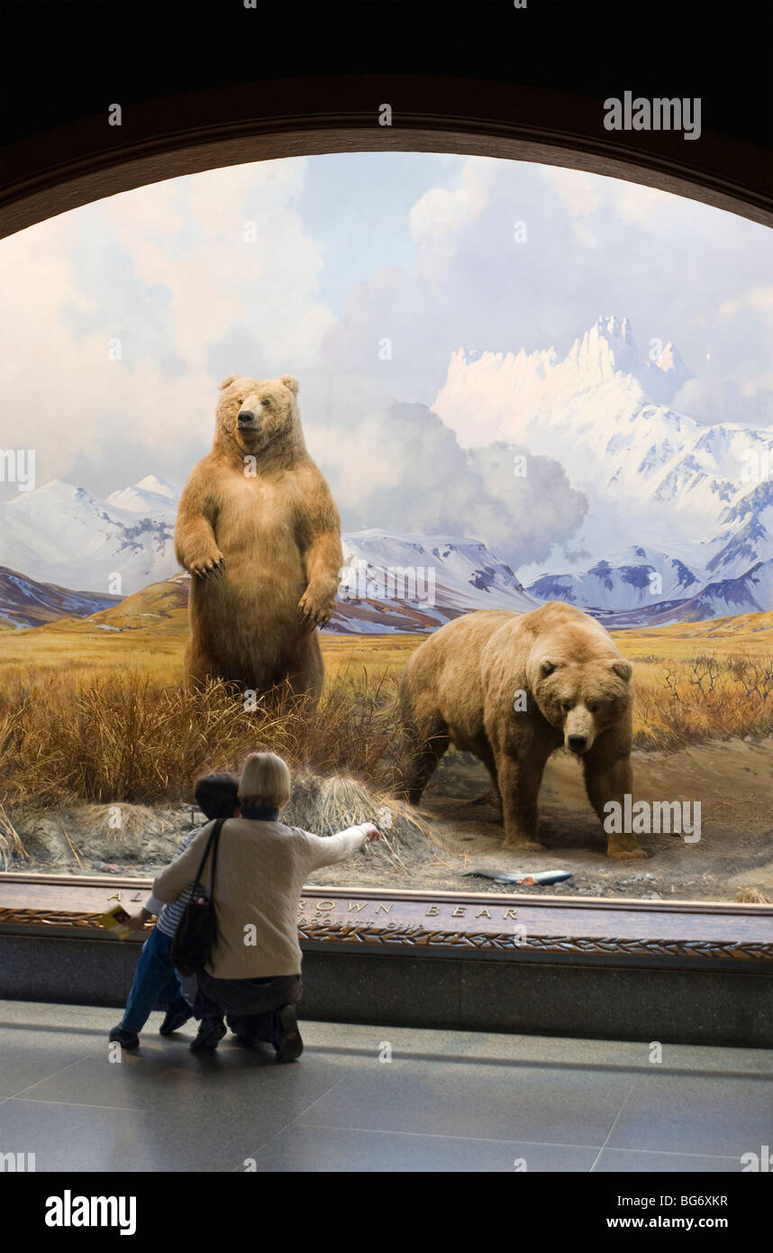 La madre e il bambino la visione di un diorama della fauna selvatica presso il Museo Americano di Storia Naturale di New York Foto Stock