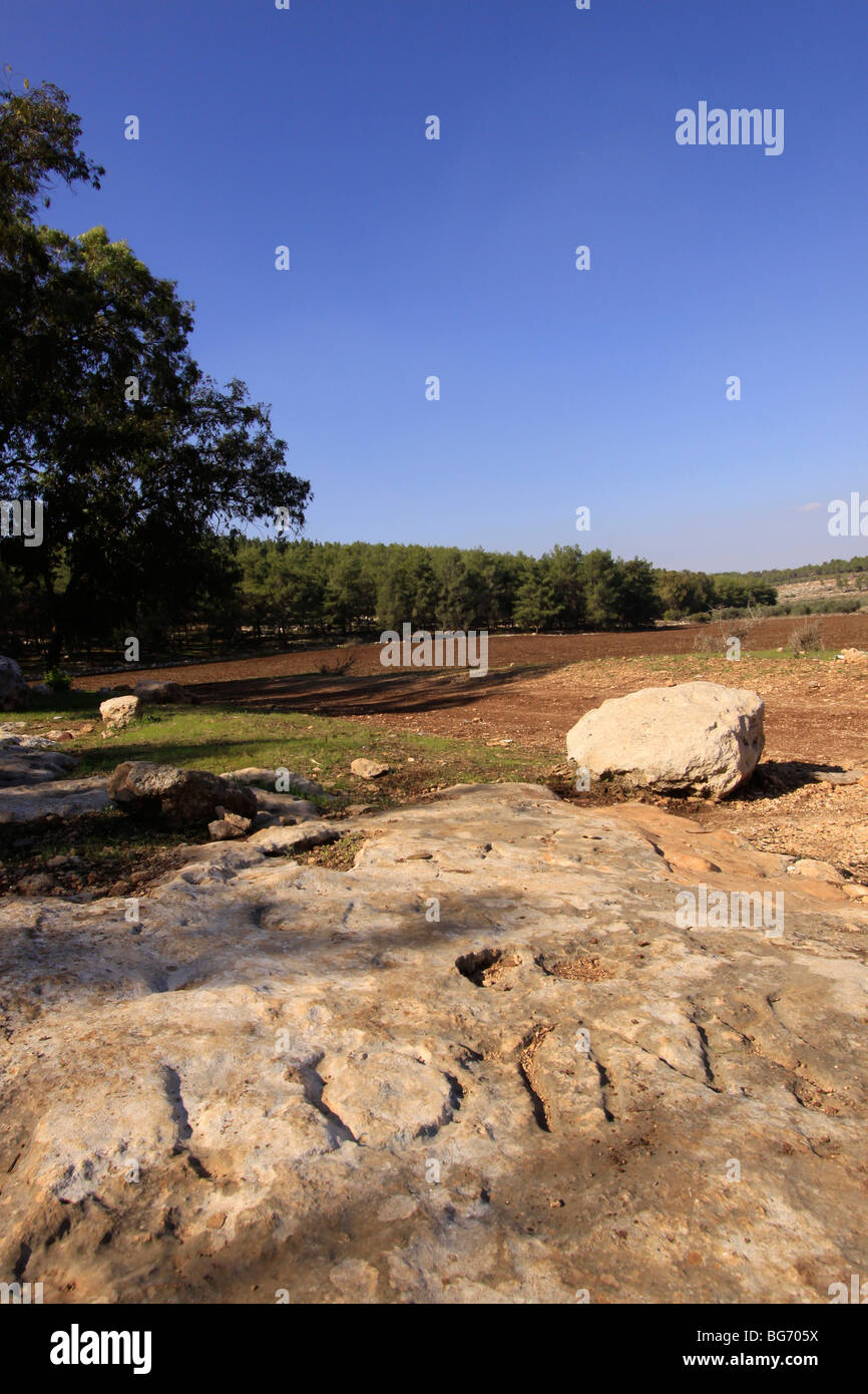 Israele, Bassa Galilea, il Sabbath pietra in Kiryat Ata forest Foto Stock