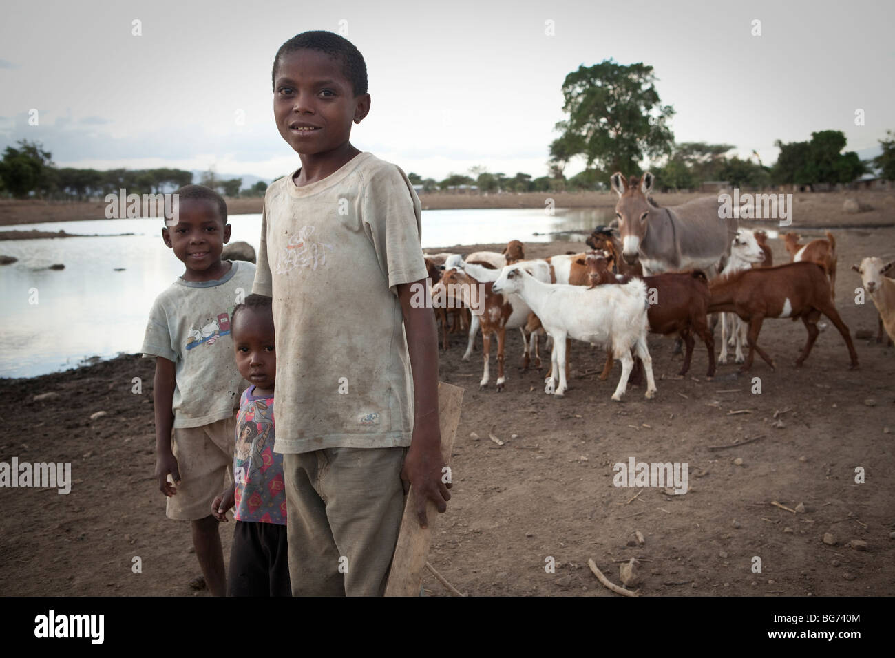 Bambini stand lungo un foro di irrigazione con il loro gregge di capre nella regione di Manyara, Tanzania. Foto Stock