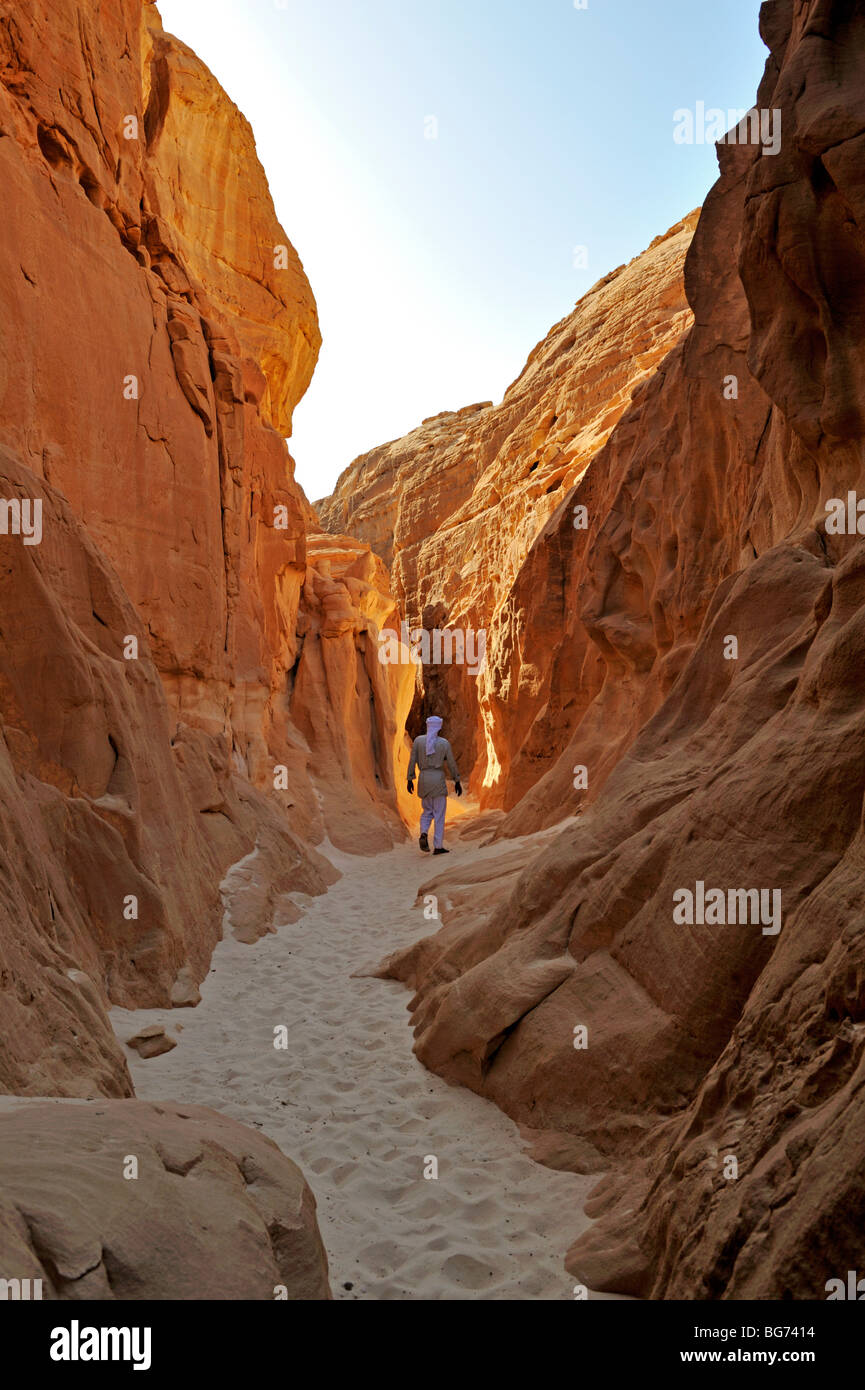 Guida beduina all'entrata Abu Hamata Canyon, Sud nel deserto del Sinai, Egitto Foto Stock