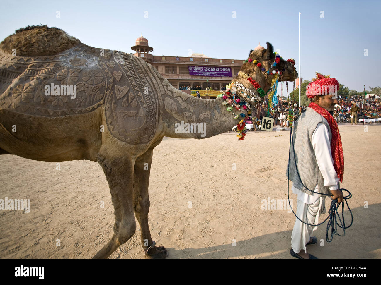 Pelle decorata cammello. Bikaner Camel Festival. Il Rajasthan. India Foto Stock