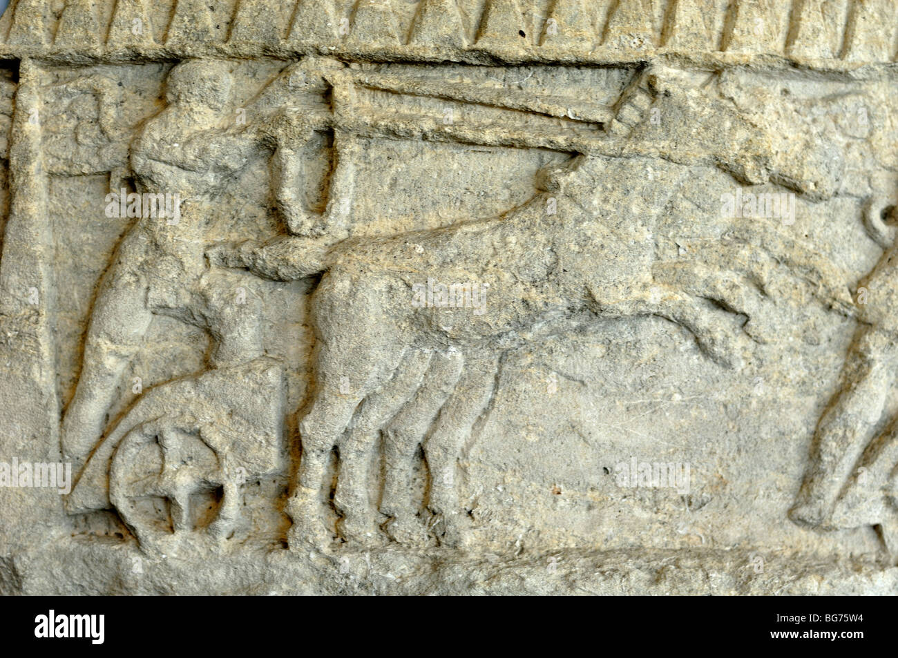 Carro romano & Charioteer, marmo Bas-Relief Carving dalla tomba circolare, C1-3rd ad Arles Antique Museum Foto Stock