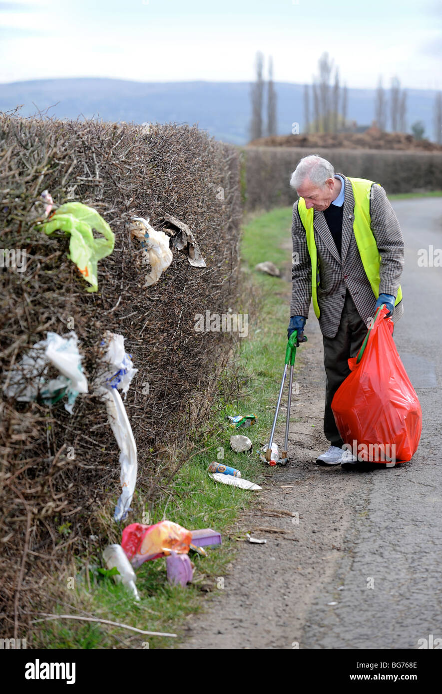 Stan pietra dalla Apperley inferiore GLOUCESTERSHIRE REGNO UNITO che volontariamente si raccoglie per lettiera nella zona Foto Stock