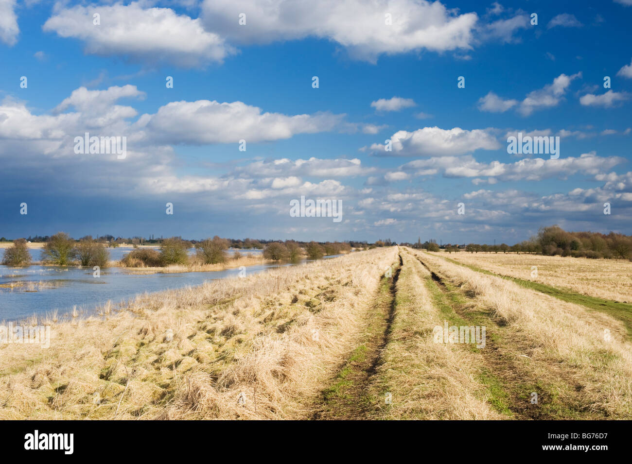 Inondati Nene lavaggi a Moreton di apprendere, un canale artificiale del fiume Nene est di Peterborough, nelle vicinanze dell'anello di estremità, Cambridgeshire Foto Stock