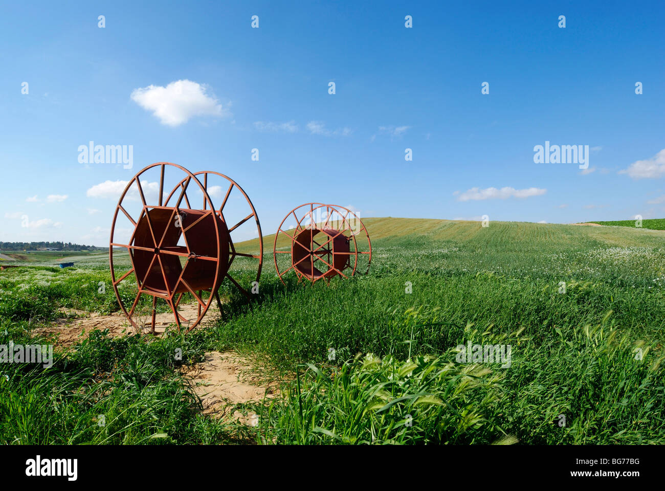 Israele Negev, tubi di irrigazione in un campo di erba medica Foto Stock