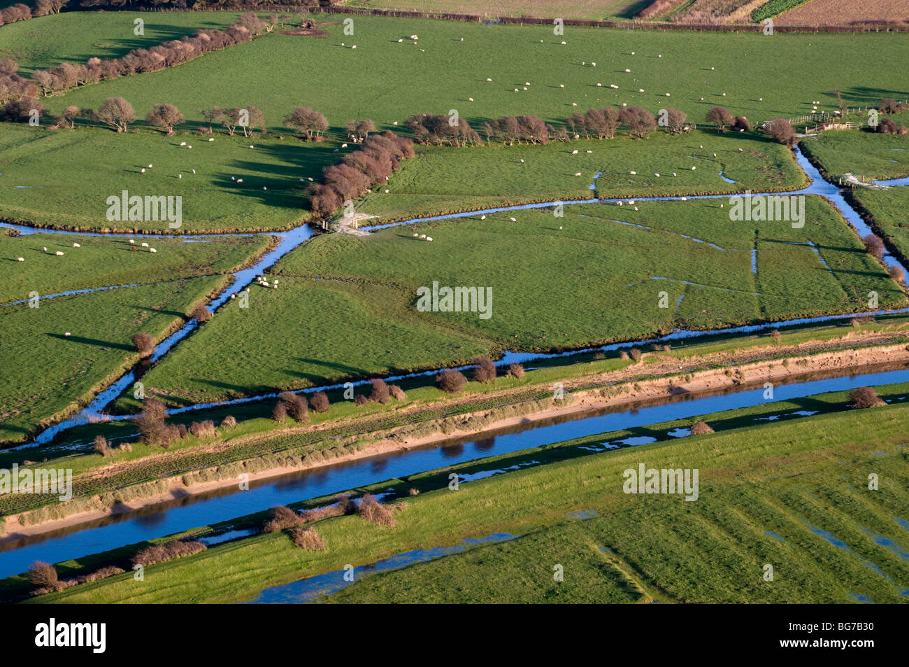 Di fossi di drenaggio in campi del Cuckmere Valley, East Sussex, Inghilterra Foto Stock