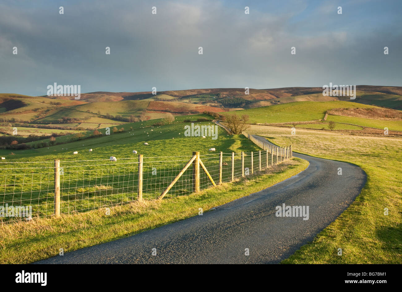 Country Road vicino al Stiperstones Riserva Naturale, guardando attraverso la lunga Mynd, Shropshire, Inghilterra, Regno Unito Foto Stock