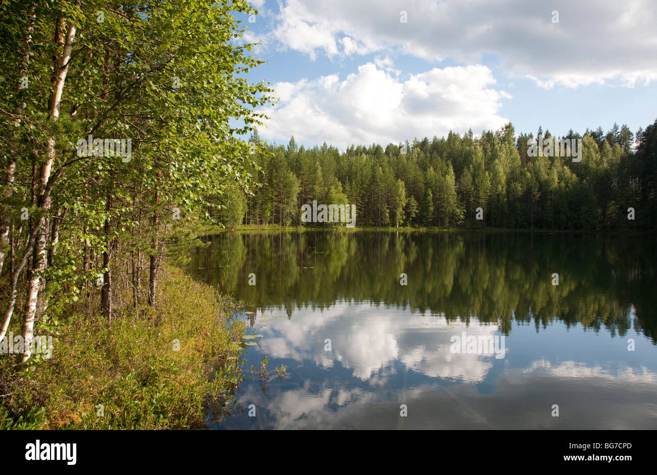 Piccola Foresta lago , Finlandia Foto Stock