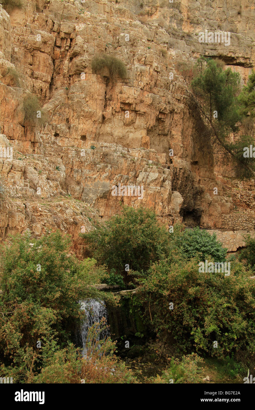 Deserto della Giudea, Ein Mabua (Ein Fawar) a Wadi Qelt Foto Stock