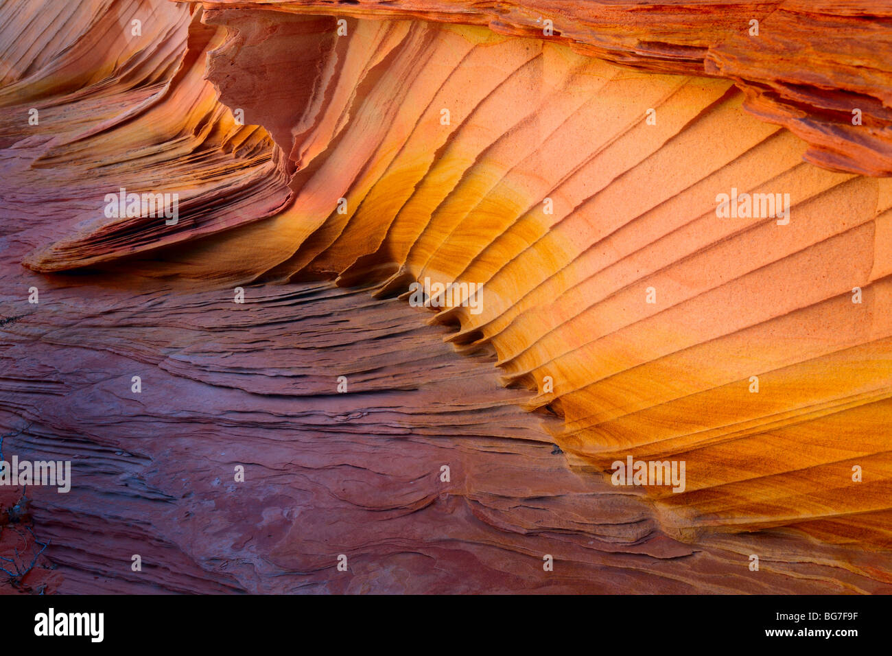 Forme e colori fantastici in arenaria dettaglio in Vermiglio scogliere monumento nazionale, Arizona Foto Stock