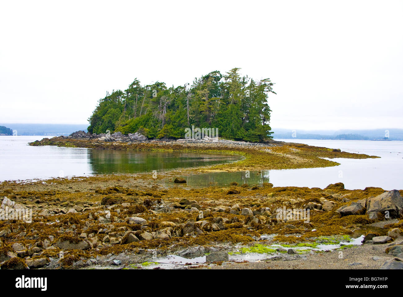 Ponte di terra conduce alla piccola isola durante la bassa marea a Willis isola nel gruppo Broken Islands, Isl Vancouver, Canada Foto Stock