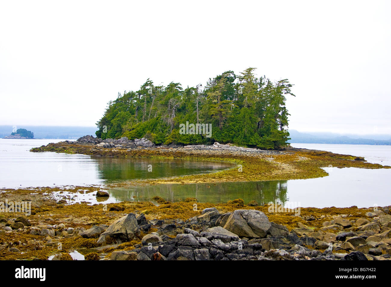 Ponte di terra conduce alla piccola isola durante la bassa marea a Willis isola nel gruppo Broken Islands, Isl Vancouver, Canada Foto Stock