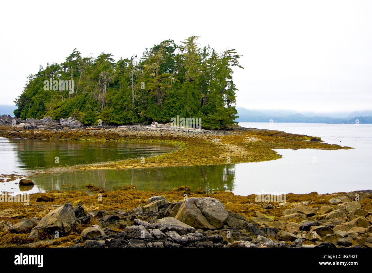 Ponte di terra conduce alla piccola isola durante la bassa marea a Willis isola nel gruppo Broken Islands, Isl Vancouver, Canada Foto Stock