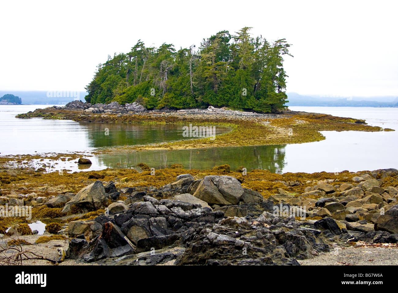 Ponte di terra conduce alla piccola isola durante la bassa marea a Willis isola nel gruppo Broken Islands, Isl Vancouver, Canada Foto Stock