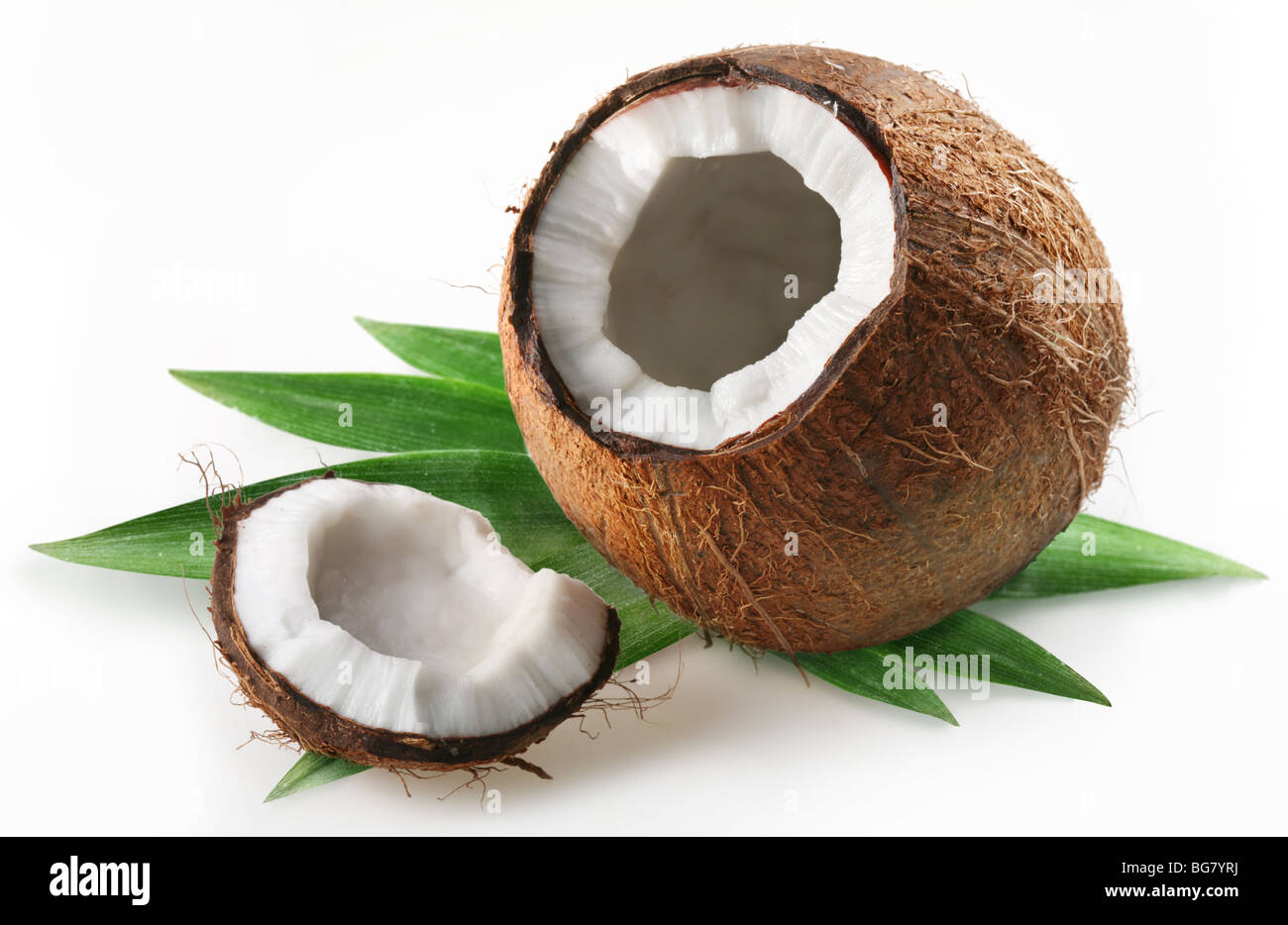 Il cocco su sfondo bianco Foto Stock