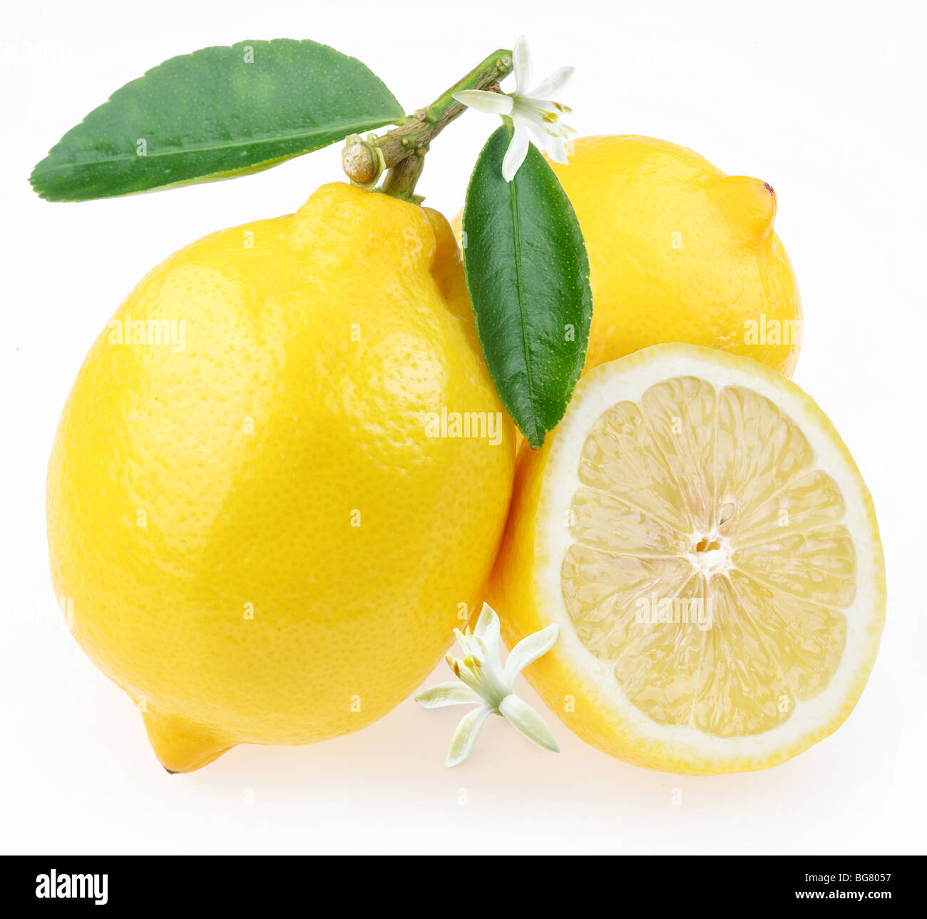 Limone con sezione su sfondo bianco Foto Stock