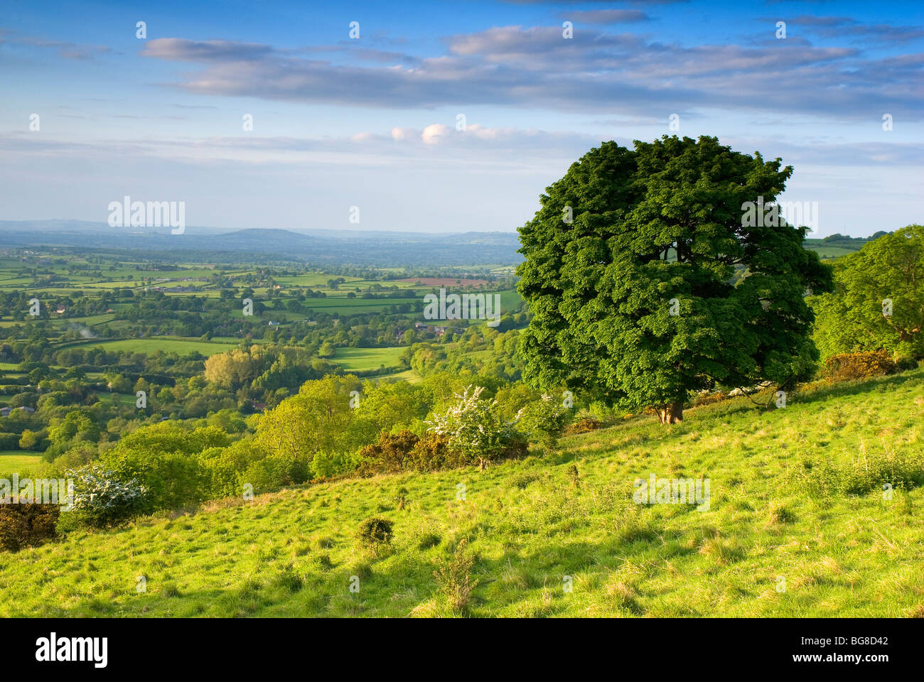 Vista dalla collina Bulbarrow, Dorset, England, Regno Unito Foto Stock