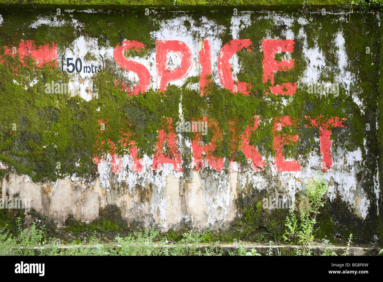 'Spice mercato " segno su moss-coperta parete. Foto Stock