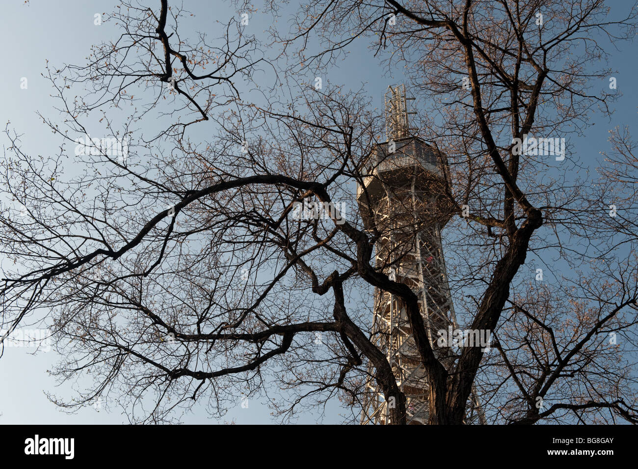 Tower, dietro l'albero a Praga Foto Stock