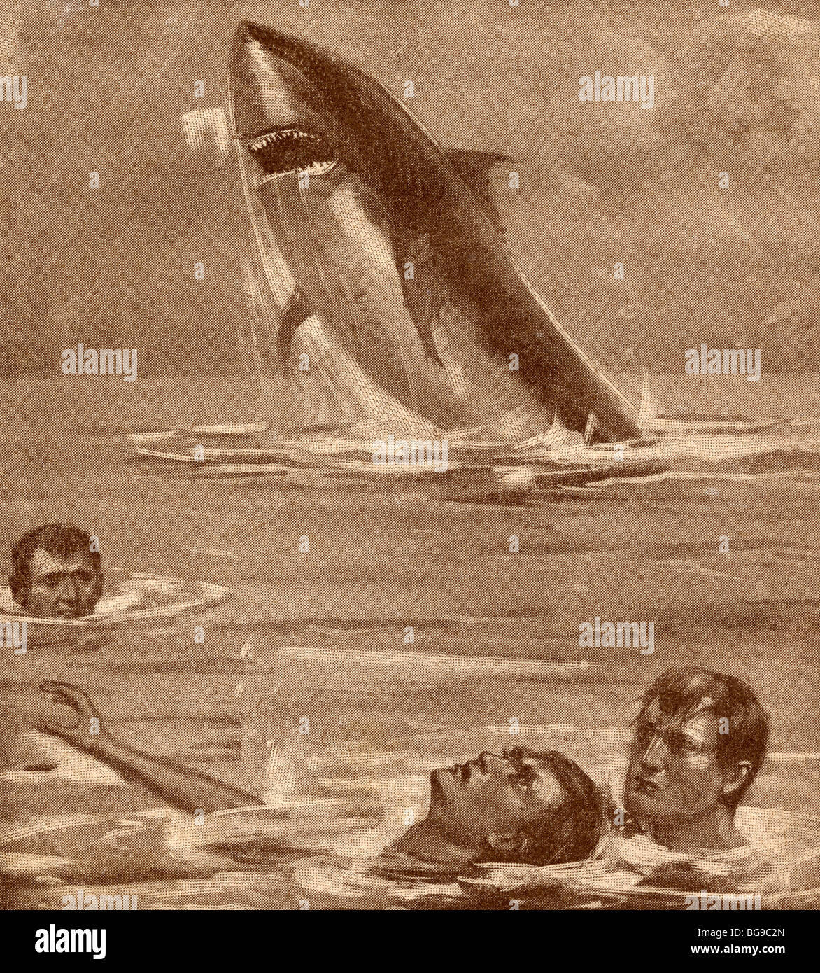 Xix secolo illustrazione dell'uomo il salvataggio del nuotatore con la shark in background. Foto Stock