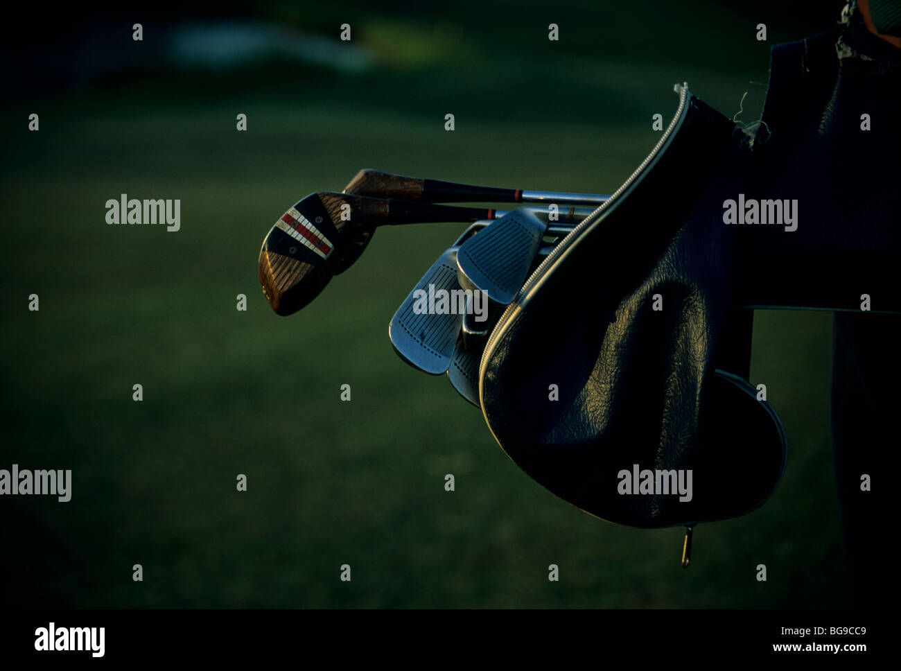 Close up di circoli di golf e la copertura della testa sporgente di una sacca da golf Foto Stock