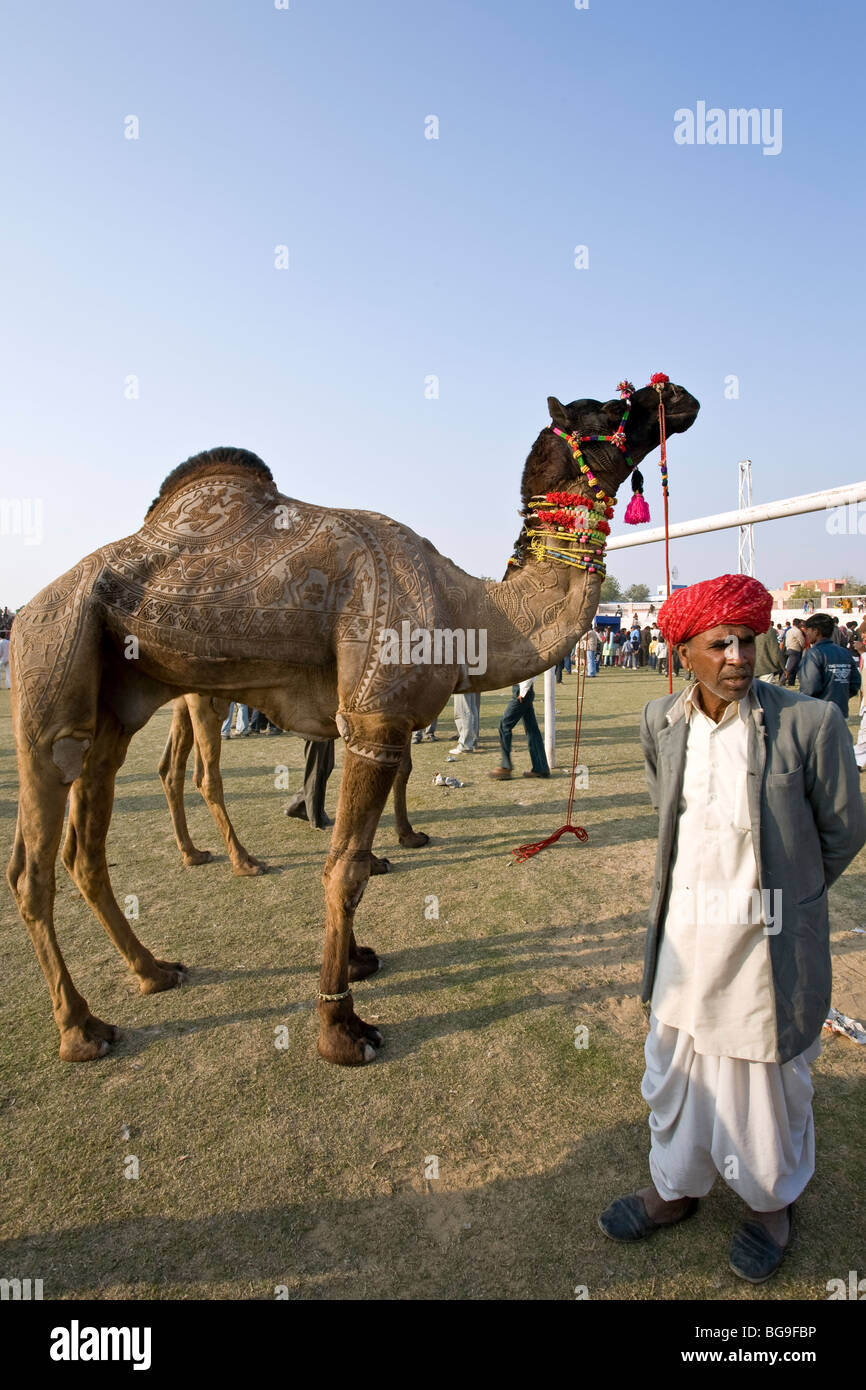 Pelle decorata cammello. Bikaner Camel Festival. Il Rajasthan. India Foto Stock