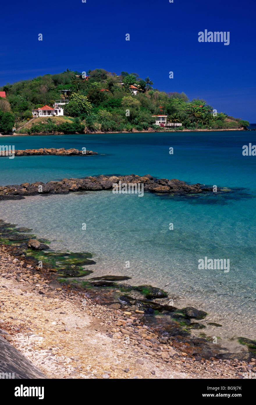 Spiaggia di sabbia, spiaggia sabbiosa, l'Anse Mitan, vicino alla città di Les Trois-Ilets, Les Trois-Ilets, Martinica, French West Indies, Francia Foto Stock