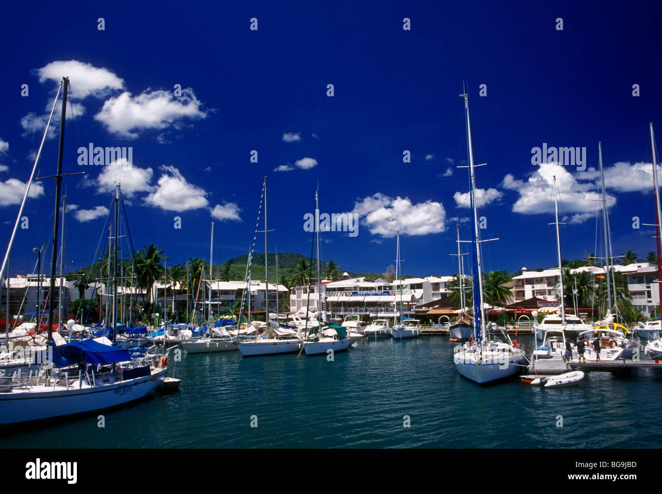 Barche a vela, la marina de la Pointe du bout, città di les trois-ilets, les trois-ilets, Martinica, french west indies, Francia Foto Stock