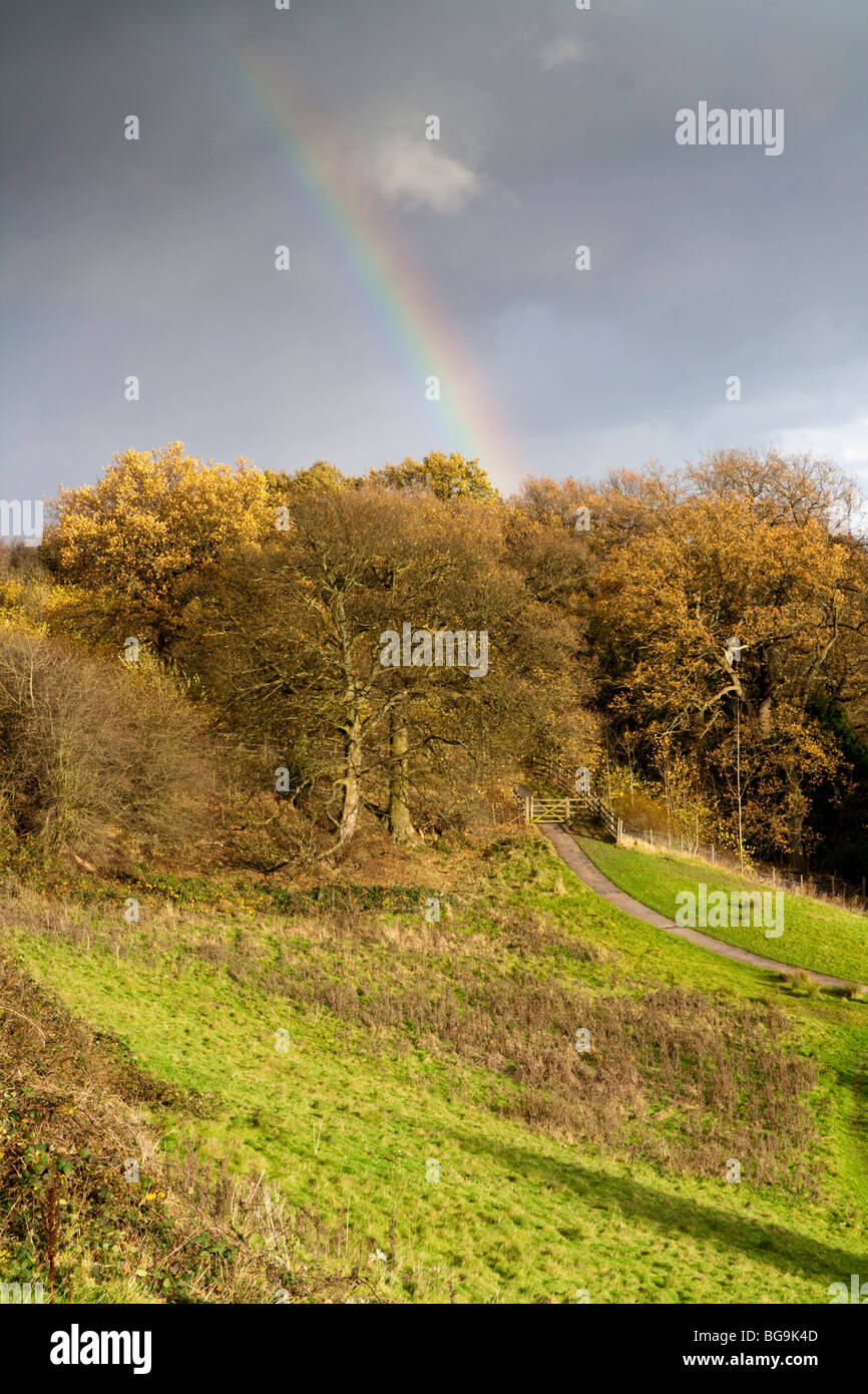 Rainbow oltre il bosco e il sentiero pedonale nelle vicinanze del Manchester Airport Foto Stock