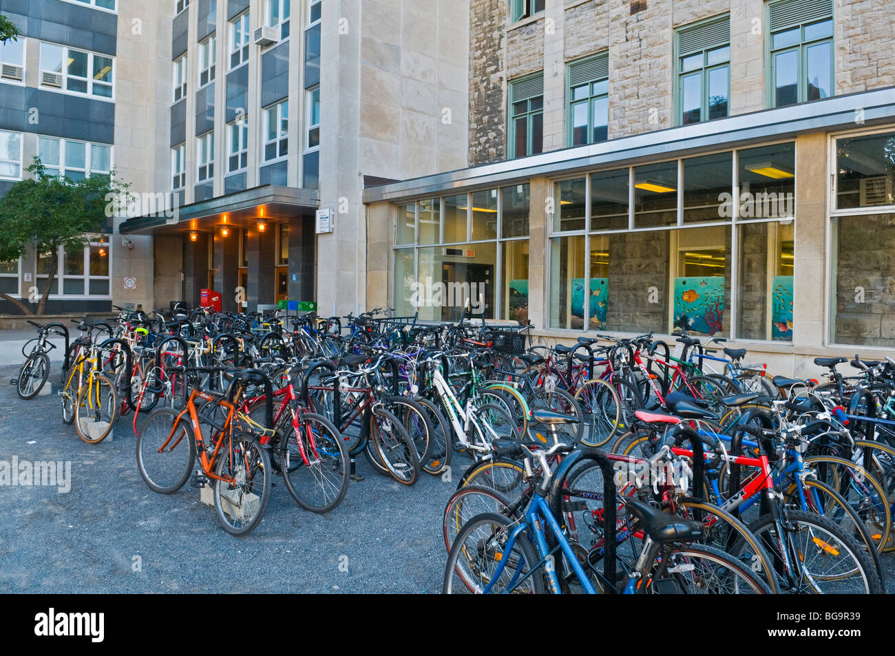 Le biciclette di fronte alla McGill University di Montreal Foto Stock