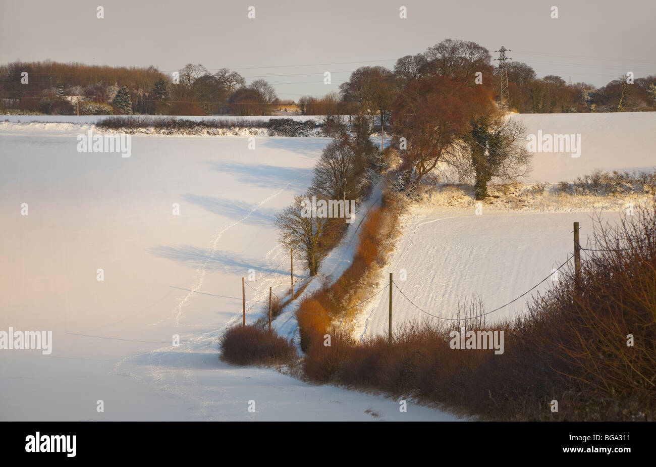 Neve rurali paesaggio, Bedfordshire, alberata paese lane, caldo sole estivo la colata bassa ombre sulla neve. Foto Stock