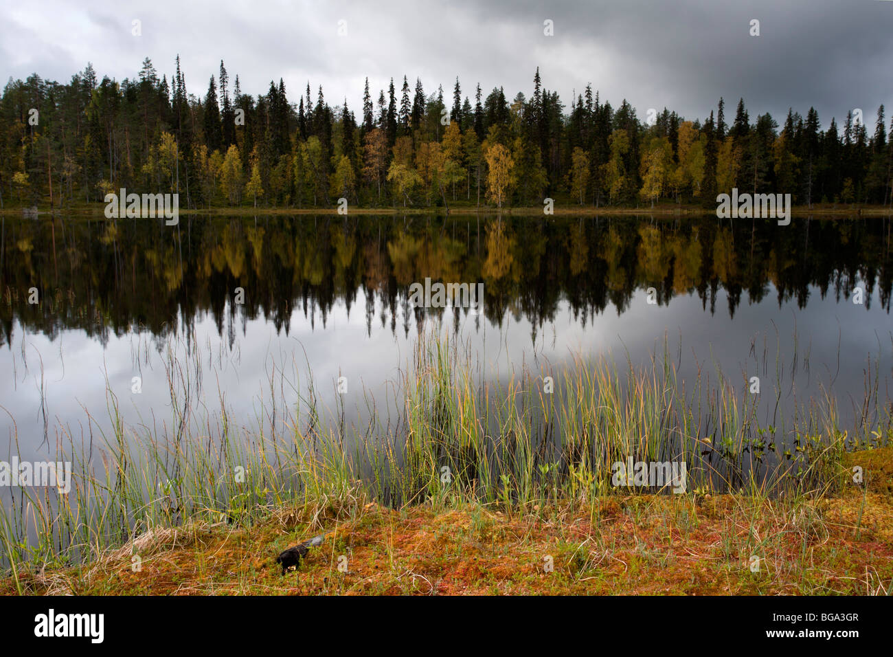 Oulanka National Park: Hiidenlampi Foto Stock