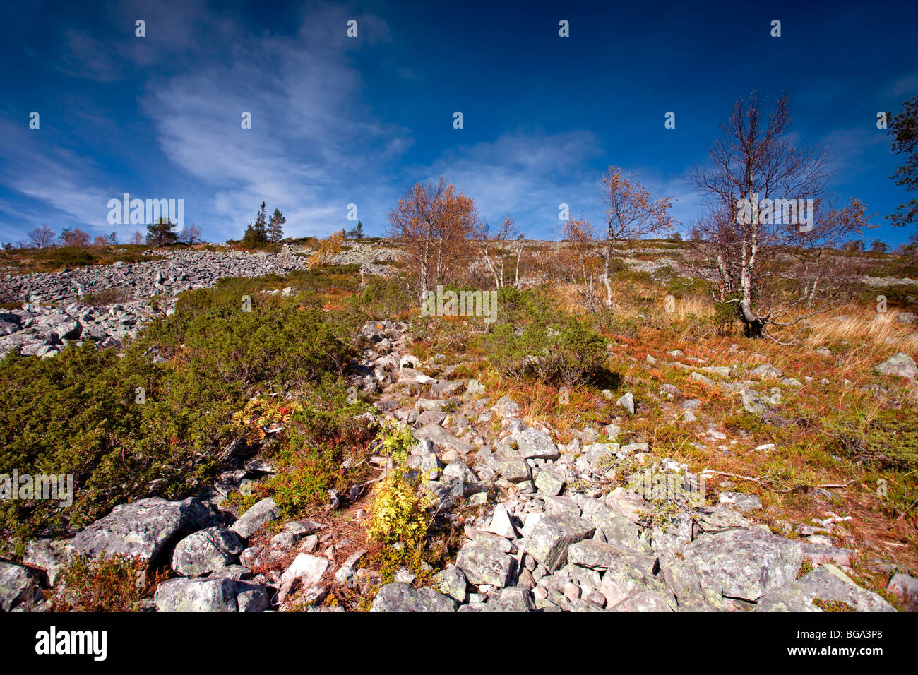 Pyhä-Luosto Parco Nazionale: Noitatunturi a piedi Foto Stock