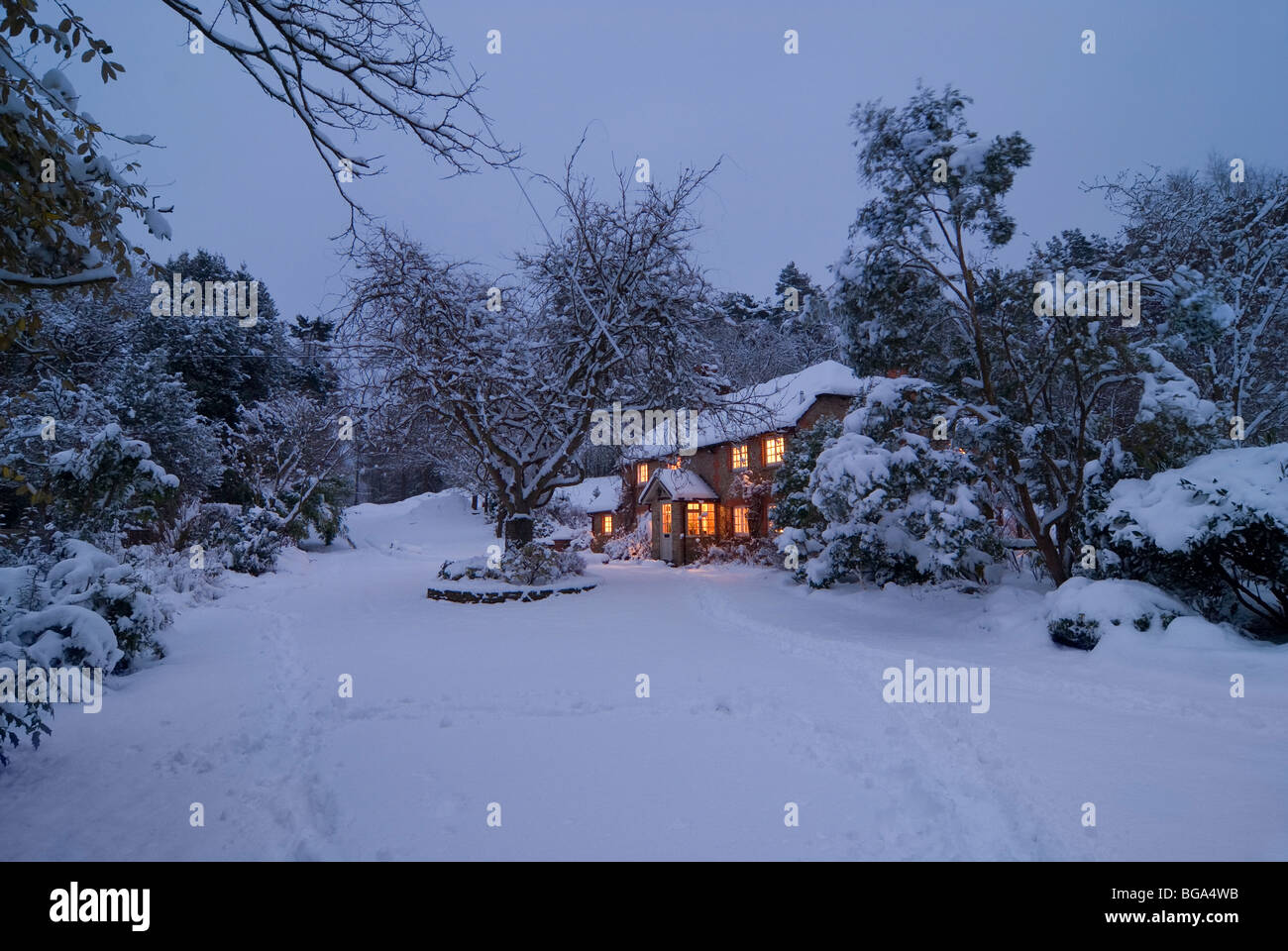 Dipingiamo un paesaggio invernale con l'acquerello - Momarte