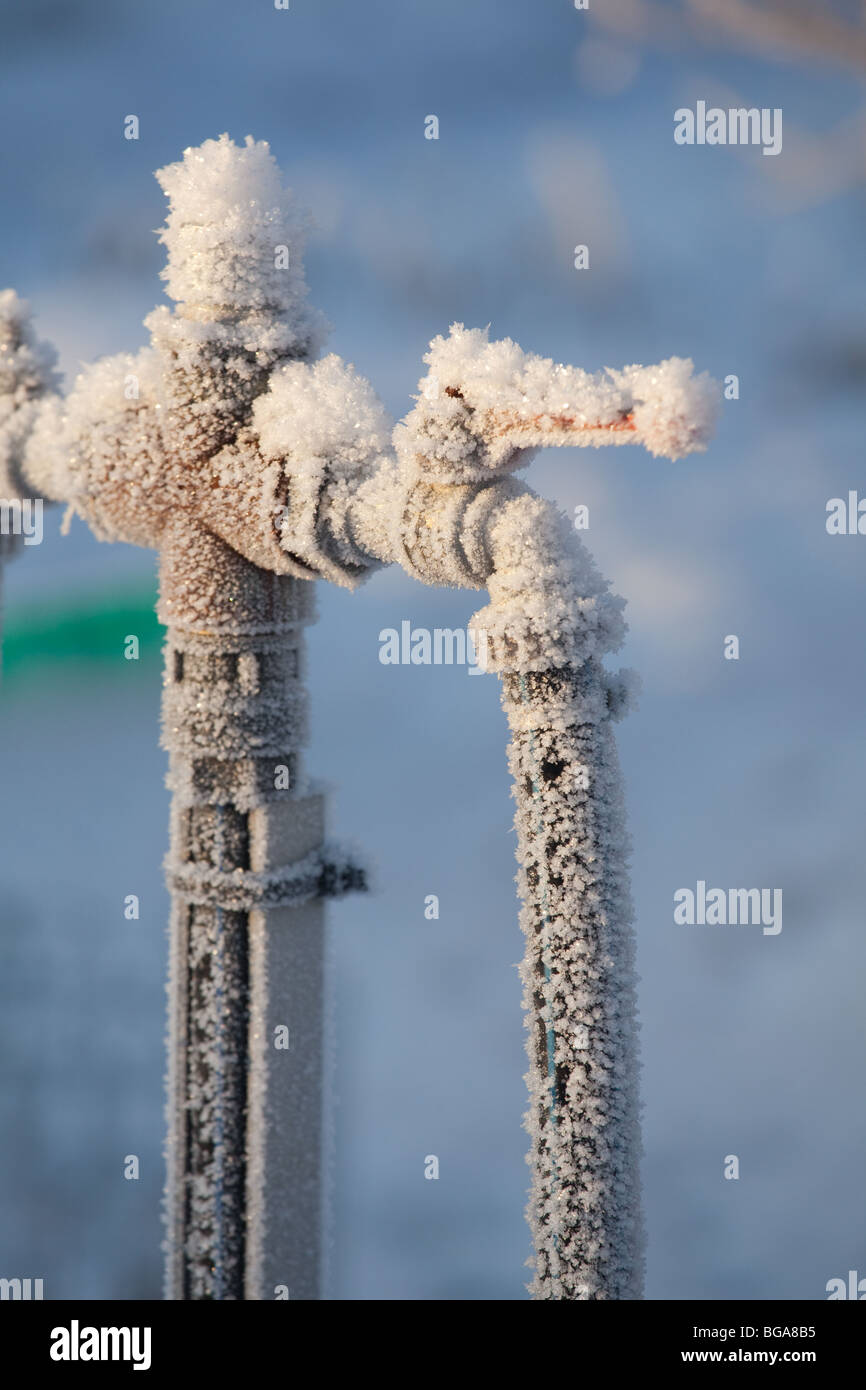 Tubi congelati immagini e fotografie stock ad alta risoluzione - Alamy