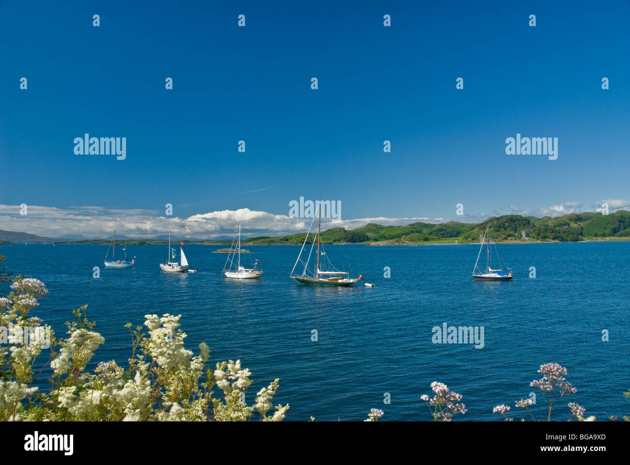 Yachts a Loch Crinan Crinan Argyll & Bute Scozia Scotland Foto Stock